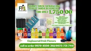 Fruit soda business ingredients package
