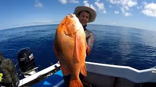 14 KG RED EMPEROR & REDS GALORE!!!  - Ultimate Reef Trip Part 2