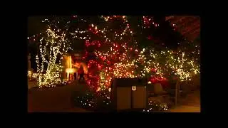 Vancouver Tour （Capilano Suspension Bridge Park Light Show）