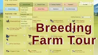 Breeding Farm Tour-My Howrse Collections