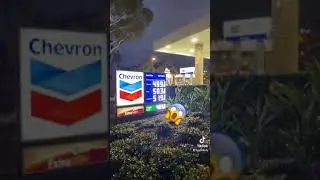When you see California Gas Prices (funny video!)
