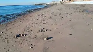 🌊 Cold Air Plunge 🙌 Mtn Bike Ride 🚲 Beach Sands to the Rythm of the LI Sound 