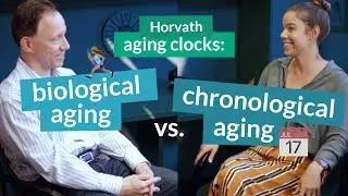Horvath epigenetic aging clocks measure two types of age: biological aging vs. chronological aging