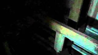MOV00446