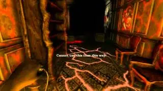 Amnesia - Laughing In The Darkness
