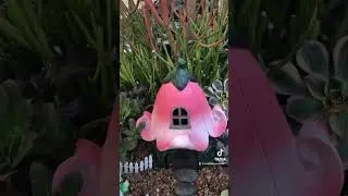 My Fairy Garden