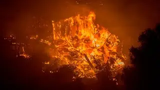 &lsquo;Grossly incompetent Mayor&rsquo;: Trump believes the LA wildfires &lsquo;shouldn&rsquo;t have happened&rsquo;