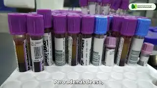 🚨 Llamado urgente a la ciudadanía 🚨