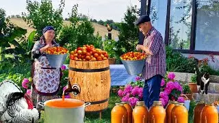 Натуральные Напитки из Лесных Фруктов на Зиму. Жареная Зелёная Фасоль.