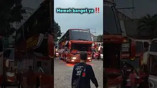 Mewah banget ya ‼️ Armada M Trans Jalur Ponorogo #bus #mtrans #videoshort #busmania #basuri #fyp