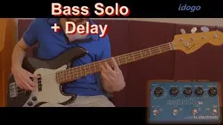 Tc Electronic flashback delay // Bass Solo With chords (The Nigun)