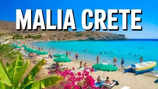 Malia Beach, CRETE: The Hidden Paradise You Need to Visit! 🇬🇷