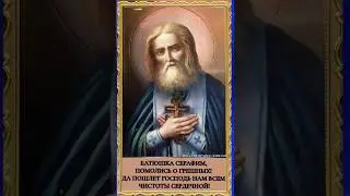 3. Отче Серафиме, молись за нас грешных #православныймир