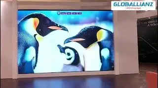 Indoor LED Screen Installation | LED Display for Meeting & Presentation| Replacement for Projector