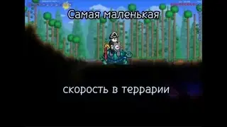 САМАЯ маленькая СКОРОСТЬ В ТЕРРАРИИ