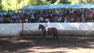 10   MATALAS   CHARRO VEGA   -  AUQUINCO SEXTA REGION  (Corral Voy y Vuelvo)