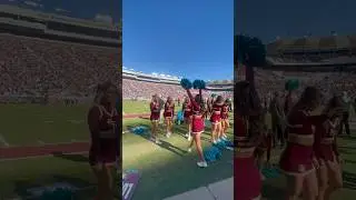 sideline stunts💌✨ #cheer #stunt #cheerleader #college #gameday #college #football #shorts #fsu #fyp