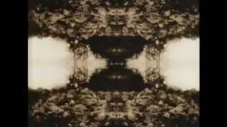 Teargas & Plateglass - Simplify The Landscape With Darkness (Black Triage 2007)