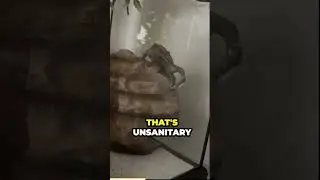 Orange Juice licks his Cresticles