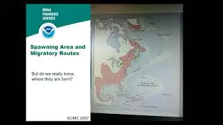 Doc Waller's Earth & Space Report &mdash; Eric Hutchins, the Marvels & Mysteries of Rockport's Eels (Ep 6)