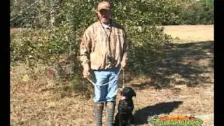 Backwater Outdoors TV Gun-Dog Training Tip of the Week