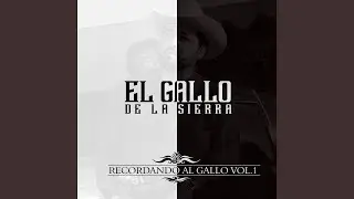 Quisimos Calar La Tierra