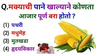 Question & Answer | Gk In Marathi 2025 | जनरल नॉलेज | Quiz Today | Gk | Current Affairs |Gk S Jagade