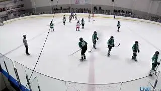 USA Hockey Officiating, Back to Basics: Positioning Reminders - January 2025