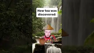 How tea was discovered #funny #memes