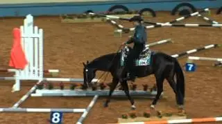 2011 AQHA World Show Senior Trail