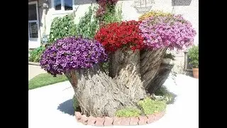 Decorate Your Garden With Tree Stumps