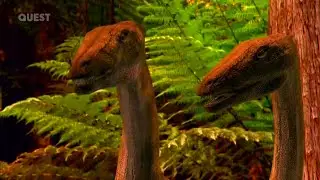 When Dinosaurs Roamed America [2001] - Anchisaurus Family Screen Time
