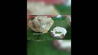 🙏🏻 JAI SHREE RAM 🚩.Renovation of old rock salt stone..Done by me 🤓#pragatiart17 #arts #youtubeshort