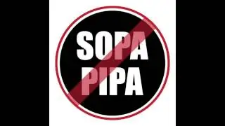 Vote For The Net! Vote SOPA   PIPA Supporters Out of Office!