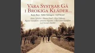 Det namnl&ouml;sa
