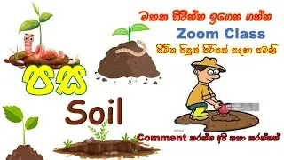 පස/Soil @agriwithgayathri #agriculturelife #soil