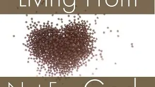 Living From Not For God: Part 2 