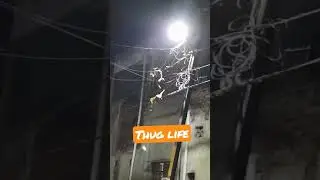 #Indian monkey #thug life #youtube shorts