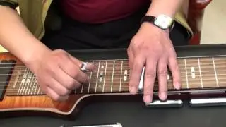 Farewell Hawaii/Vorson C6 8strings Lapsteel guitar