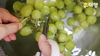 껍질째 먹는 청포도 세척하는 방법 | Green grape washing method
