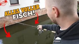 Alles von Aal bis Zander! Fange 10 FISCHARTEN an einem Tag! OSA in Mission Angeln