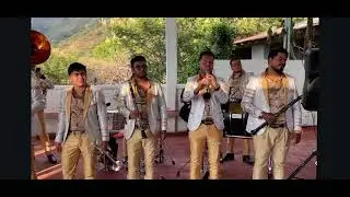 La banda cerró de sauces en El Ranchito Sultepec Edo México 🎵😎instrumental de pueblo en pueblo😇