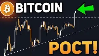 Биткоин 9000$ Киты Активизировались! Огромный Рост Летом 2019 Прогноз