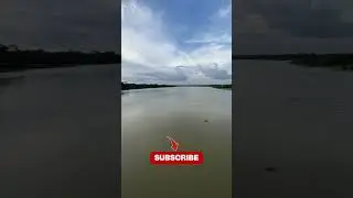 ভাই একটা Subscribe করেন প্লিজ🙏🥹 #short #viral #natural