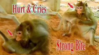 BRAINLESS MOM ANNA MISTREATED ALBA SO HARD, TINY ALBA EXTREMELY HURT & CRYING LOUDLY