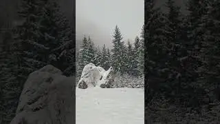 Spre cabana Malaiesti,  Bucegi.
