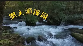 肥偉(edeiwai) 在日本🇯🇵 秋季🌿🍁東北の旅(上集) 4個人自駕遊🚗 由仙台空港🛬沿福島 山形 岩手 至 青森 美景🏞️處處 數不勝數😍 餐餐美食🥩🍣🦞🦀罪大惡極😆