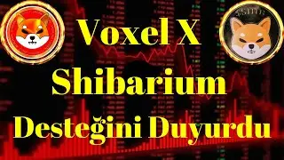 Kripto Sesli Haber | Voxel X, Shibarium Desteğini Duyurdu
