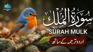 Surah Al-Mulk سورة الملك | Majestic Recitation for Night Tranquility & Inner Calm #surahmulk