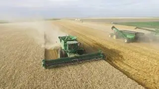 S670 Combine Wheat Harvest
